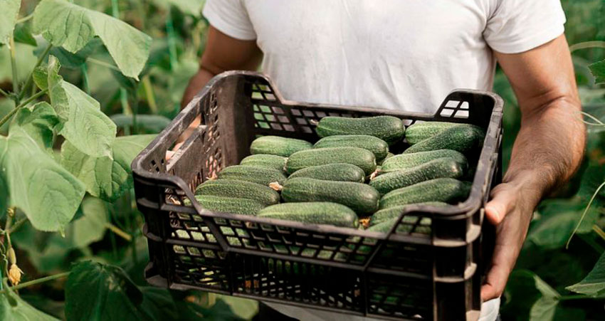 Image of Deering Farms LLC showcasing a diverse range of quality agricultural products and landscaping supplies available