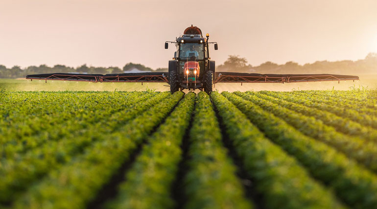 Scenic view of sustainable farm practices at Deering Farms LLC, showcasing crops thriving despite climate change challenges.