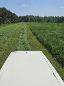 Harvesting equipment operated by Deering Farms LLC showcasing efficient crop gathering and sustainable practices.