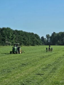 Deering Farms LLC's harvesting equipment in action, showcasing efficient crop harvesting services for optimal yield.