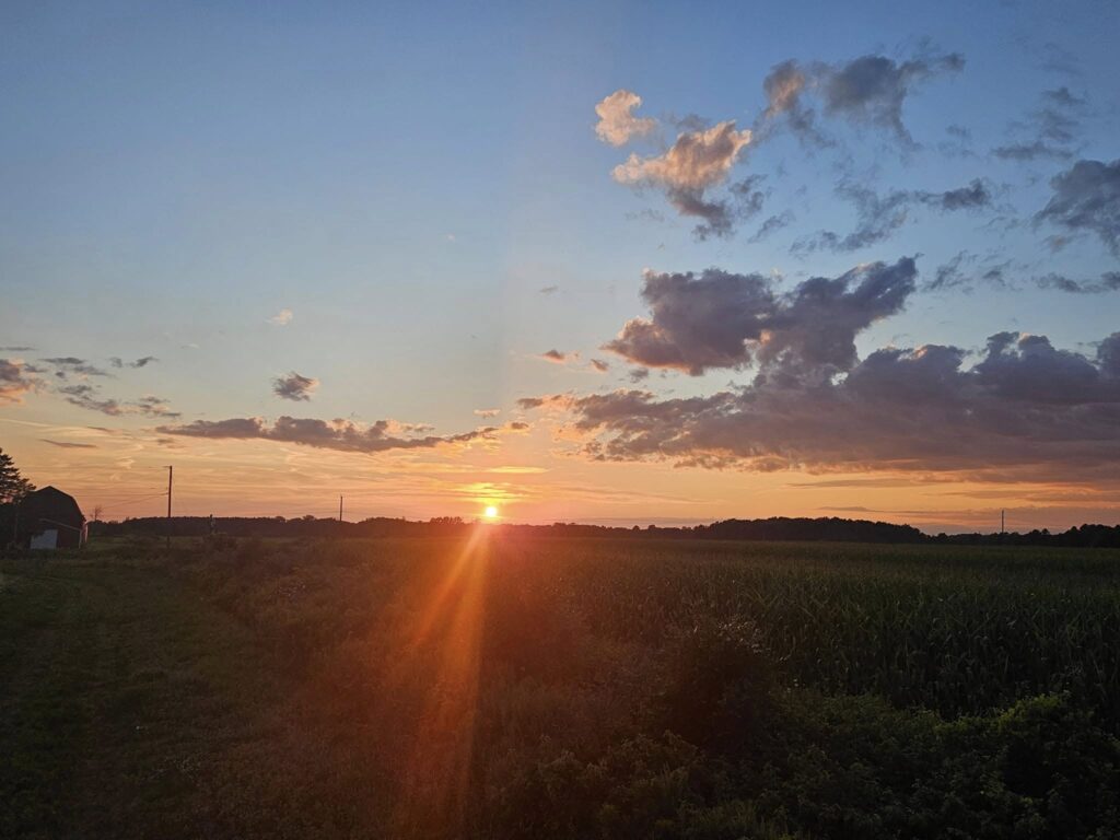 A scenic view of Deering Farms LLC, showcasing sustainable farming with vibrant crops and a commitment to non-GMO practices.