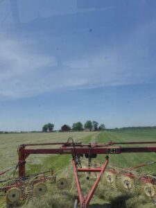 A Deering Farms LLC harvester efficiently crops ripe fields, showcasing modern agricultural equipment in action.