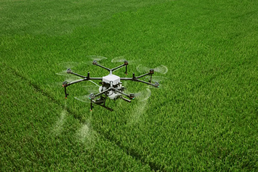 Drone spraying crops at Deering Farms LLC, showcasing precision agriculture technology for enhanced yields and crop health.