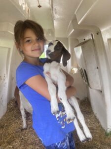 Boer goats at Deering Farms LLC showcasing healthy livestock and quality farm products for potential buyers.