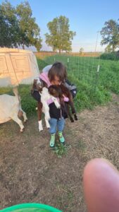 Boer goats at Deering Farms LLC, showcasing healthy livestock and quality farm products.