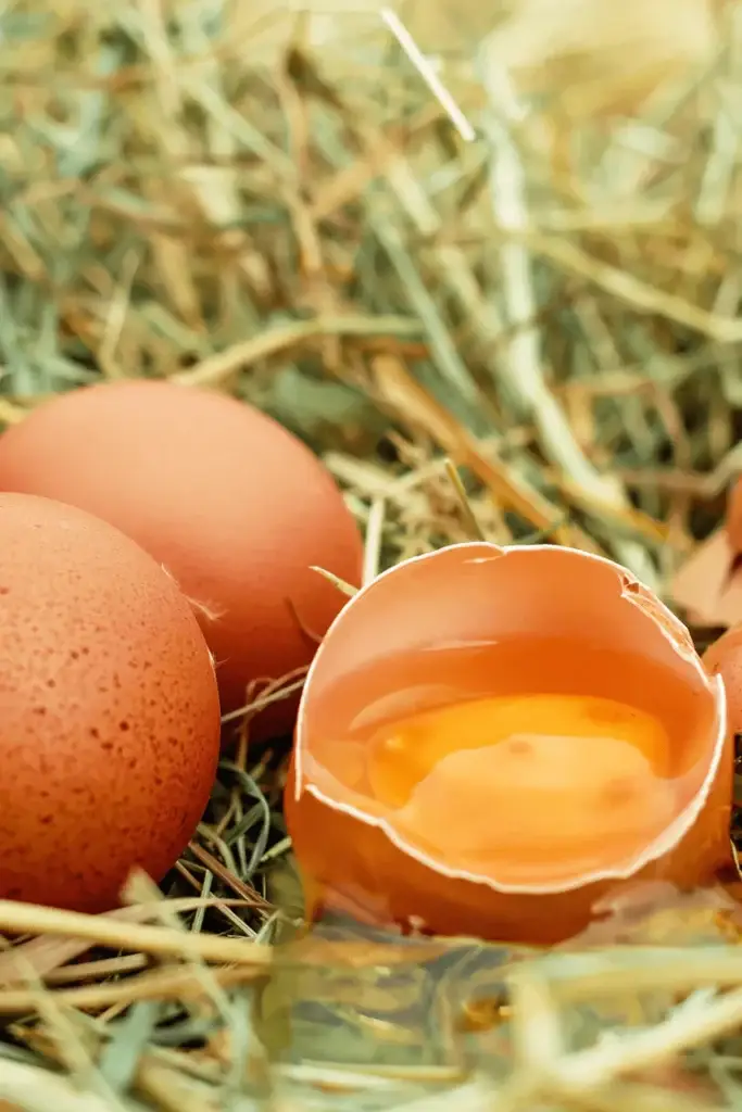 Free-range chicken eggs from Deering Farms LLC, highlighting ethical sourcing and quality for healthier diets.