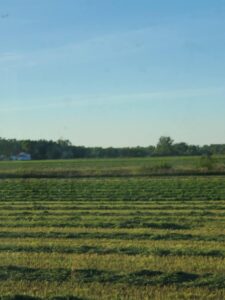 Modern harvesting equipment used by Deering Farms LLC for efficient crop harvesting services on a sustainable farm.