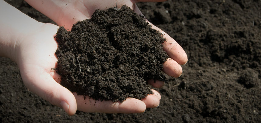 Nutrient-rich topsoil from Deering Farms LLC, ideal for enhancing gardens and agriculture.